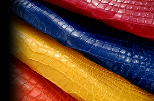 クロコダイルとアリゲーターの違い